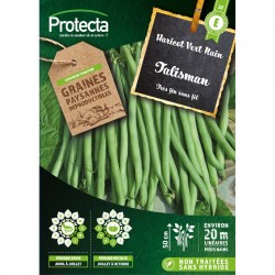 Graines Haricot Nain...