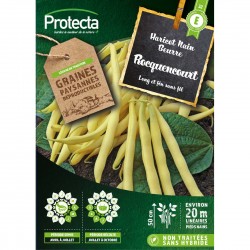 Graines Haricot Nain Beurre...