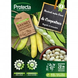 Graines Haricot Nain Coco À...