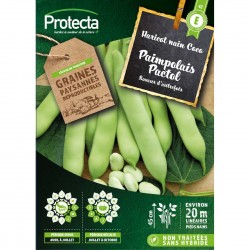 Graines Haricot Nain Coco À...