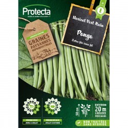 Graines Haricot Nain...