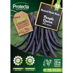 Graines Haricot Nain...