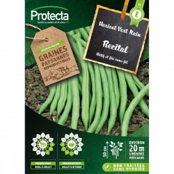 Graines Haricot Nain...