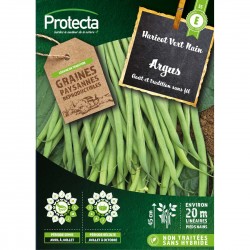 Graines Haricot Nain Sans...