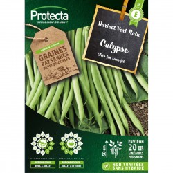 Graines Haricot Nain Sans...