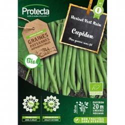 Graines Haricot Nain Sans...