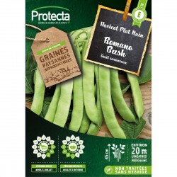 Graines Haricot Plat Nain...