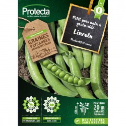 Graines Pois Nain À Grain...