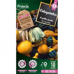 Graines Coloquintes...