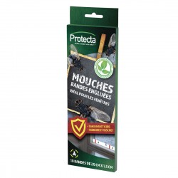 Bandes Engluées Fenetres...