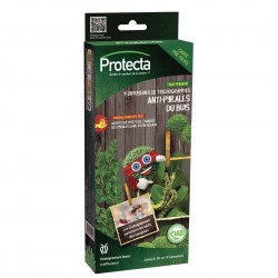 Anti-pyrale du buis 4...