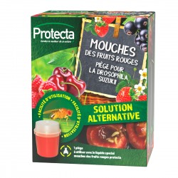 Piege mouche des fruits...