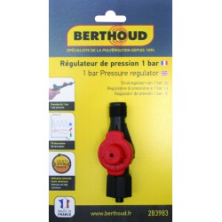 Regulateur de pression 1 bar