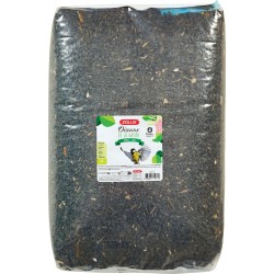 OISEAUX DE LA NATURE...