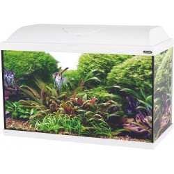 ZOLUX ISEO 60 LED Aquarium...