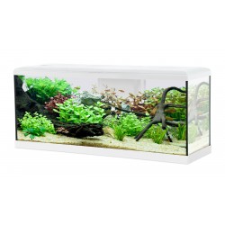 AQUA Tana 100 kit Blanc 120L