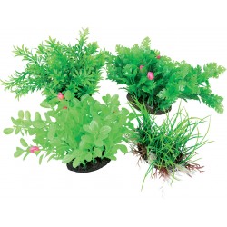 AÉROPLANT Plante diffuseur...