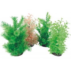 AÉROPLANT Plante diffuseur...