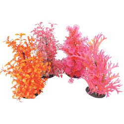 AÉROPLANT COLOR Plante...