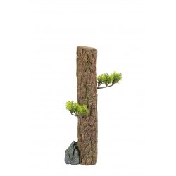 FOREST Décor aqua décor...