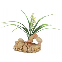 Roche plantée décor aqua T1...