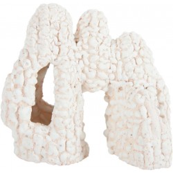 KORAL Arche mod1 décor aqua