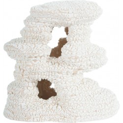 KORAL Arche mod4 décor aqua