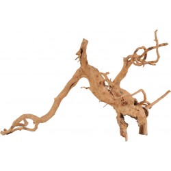 NATURELLE Racine araignée...