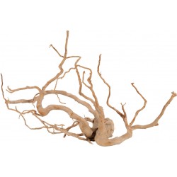 NATURELLE Racine araignée...