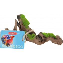 KIPOUSS Racine malaisie...