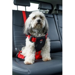 TRAVEL SAFE Harnais Small...