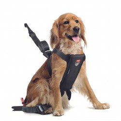 TRAVEL SAFE Harnais Médium...