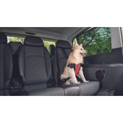 TRAVEL SAFE Harnais Médium...