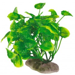 PLANTES ARTIFICIELLES B...