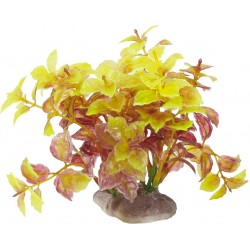 PLANTES ARTIFICIELLES B...