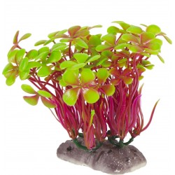 PLANTES ARTIFICIELLES A...