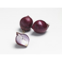 Oignon Rond Rouge RED BARON...