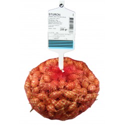 Oignon Long STURON Calibre...