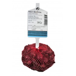 Oignon Rond Rouge RED BARON...