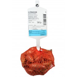 Échalote Longue LONGOR...