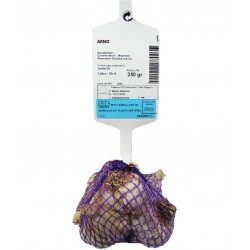 Ail Rose ARNO Calibre 50+...