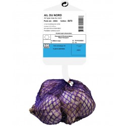 Ail rose DU NORD Calibre...