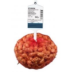 Oignon Long STURON Calibre...
