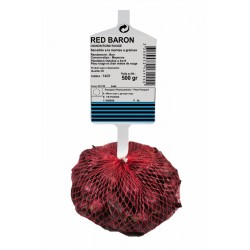 Oignon Rond Rouge RED BARON...