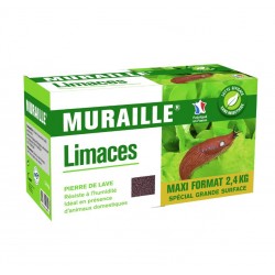 DÉCAMP MURAILLE LIMACES...