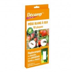 DÉCAMP RADICAL PIÈGE BLANC...