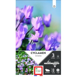 ERNEST TURC CYCLAMEN De...