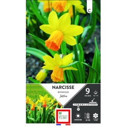 ERNEST TURC NARCISSE...