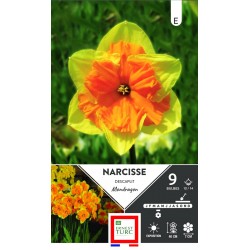 ERNEST TURC NARCISSE...