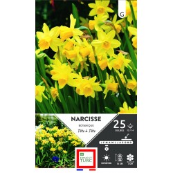 ERNEST TURC NARCISSE...